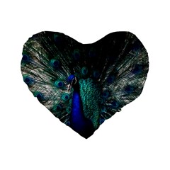 Blue And Green Peacock Standard 16  Premium Flano Heart Shape Cushions