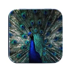 Blue And Green Peacock Square Metal Box (Black)