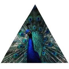 Blue And Green Peacock Wooden Puzzle Triangle