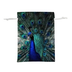 Blue And Green Peacock Lightweight Drawstring Pouch (L)