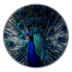 Blue And Green Peacock Wireless Fast Charger(White)