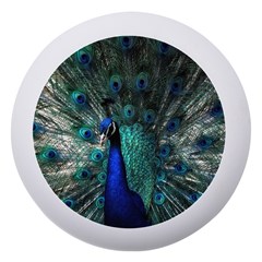 Blue And Green Peacock Dento Box with Mirror