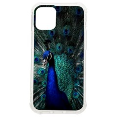 Blue And Green Peacock iPhone 12 mini TPU UV Print Case	