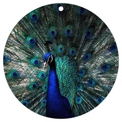 Blue And Green Peacock UV Print Acrylic Ornament Round