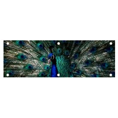 Blue And Green Peacock Banner and Sign 6  x 2 