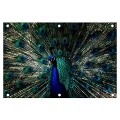 Blue And Green Peacock Banner and Sign 6  x 4 