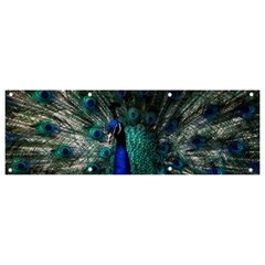 Blue And Green Peacock Banner and Sign 9  x 3 