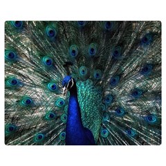 Blue And Green Peacock Premium Plush Fleece Blanket (Medium)