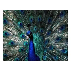 Blue And Green Peacock Premium Plush Fleece Blanket (Large)