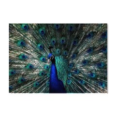Blue And Green Peacock Crystal Sticker (A4)
