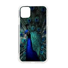 Blue And Green Peacock iPhone 11 TPU UV Print Case