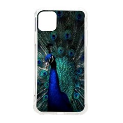Blue And Green Peacock iPhone 11 Pro Max 6.5 Inch TPU UV Print Case