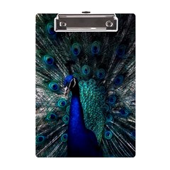 Blue And Green Peacock A5 Acrylic Clipboard