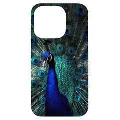 Blue And Green Peacock Iphone 14 Pro Black Uv Print Case by Sarkoni