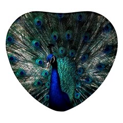 Blue And Green Peacock Heart Glass Fridge Magnet (4 pack)