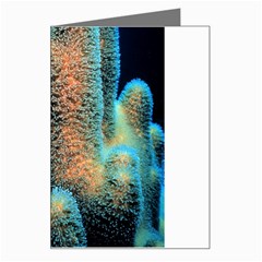 Photo Coral Great Scleractinia Greeting Card by Pakjumat