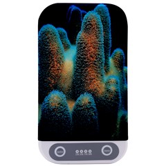 Photo Coral Great Scleractinia Sterilizers by Pakjumat
