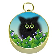 Kitten Black Furry Illustration Gold Compasses