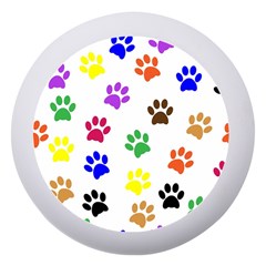 Pawprints Paw Prints Paw Animal Dento Box With Mirror