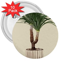 Tree Vector Art In A Flower Pot 3  Buttons (10 Pack) 