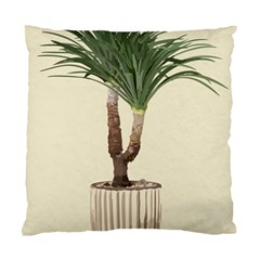 Tree Vector Art In A Flower Pot Standard Cushion Case (one Side)