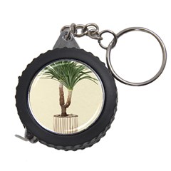 Tree Vector Art In A Flower Pot Measuring Tape