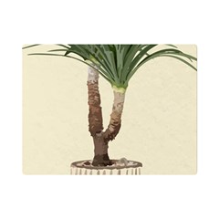 Tree Vector Art In A Flower Pot Premium Plush Fleece Blanket (Mini)