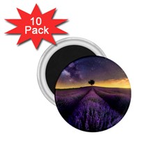 Bed Of Purple Petaled Flowers Photography Landscape Nature 1 75  Magnets (10 Pack) 
