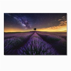 Bed Of Purple Petaled Flowers Photography Landscape Nature Postcard 4 x 6  (pkg Of 10)