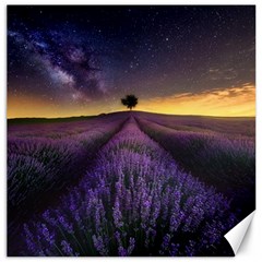 Bed Of Purple Petaled Flowers Photography Landscape Nature Canvas 12  X 12  by Sarkoni