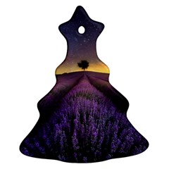 Bed Of Purple Petaled Flowers Photography Landscape Nature Ornament (christmas Tree) 