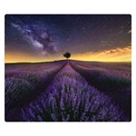 Bed Of Purple Petaled Flowers Photography Landscape Nature Two Sides Premium Plush Fleece Blanket (Small) 50 x40  Blanket Front