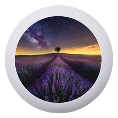 Bed Of Purple Petaled Flowers Photography Landscape Nature Dento Box With Mirror