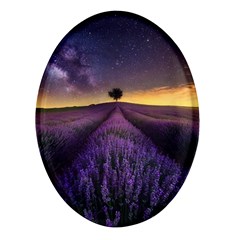 Bed Of Purple Petaled Flowers Photography Landscape Nature Oval Glass Fridge Magnet (4 Pack) by Sarkoni