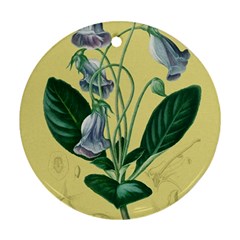 Botanical Plants Green Round Ornament (two Sides)