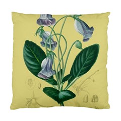 Botanical Plants Green Standard Cushion Case (one Side)