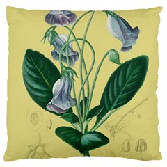 Botanical Plants Green Large Cushion Case (two Sides) by Sarkoni