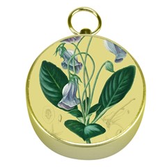 Botanical Plants Green Gold Compasses