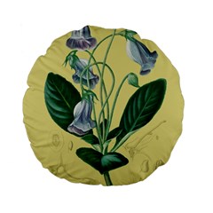 Botanical Plants Green Standard 15  Premium Flano Round Cushions