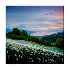 Field Of White Petaled Flowers Nature Landscape Tile Coaster