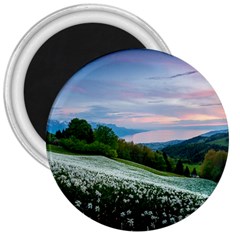 Field Of White Petaled Flowers Nature Landscape 3  Magnets