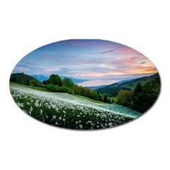 Field Of White Petaled Flowers Nature Landscape Oval Magnet