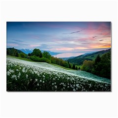 Field Of White Petaled Flowers Nature Landscape Postcards 5  x 7  (Pkg of 10)