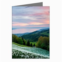 Field Of White Petaled Flowers Nature Landscape Greeting Cards (Pkg of 8)