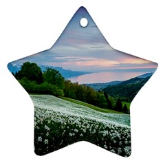 Field Of White Petaled Flowers Nature Landscape Star Ornament (Two Sides)