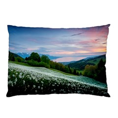 Field Of White Petaled Flowers Nature Landscape Pillow Case