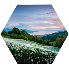 Field Of White Petaled Flowers Nature Landscape Wooden Puzzle Hexagon