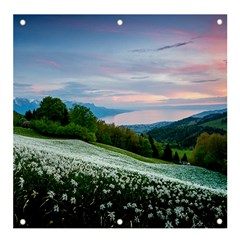 Field Of White Petaled Flowers Nature Landscape Banner and Sign 4  x 4 