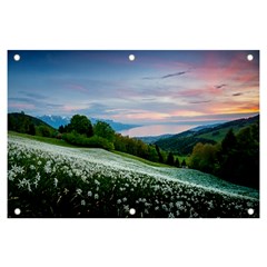Field Of White Petaled Flowers Nature Landscape Banner and Sign 6  x 4 