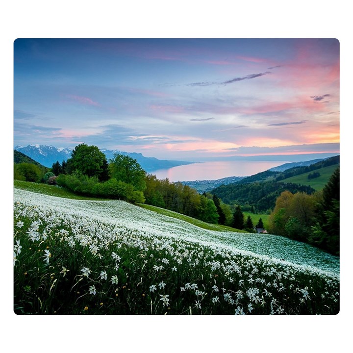 Field Of White Petaled Flowers Nature Landscape Premium Plush Fleece Blanket (Small)